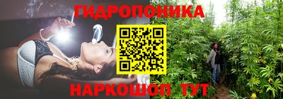 ПСИЛОЦИБИНОВЫЕ ГРИБЫ Краснознаменск